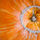 Illustration for article titled Scarecrow’s pumpkin butt too thicc for Georgia neighbors